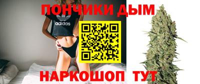 крисы Будённовск