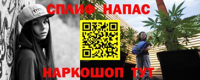 крисы Будённовск